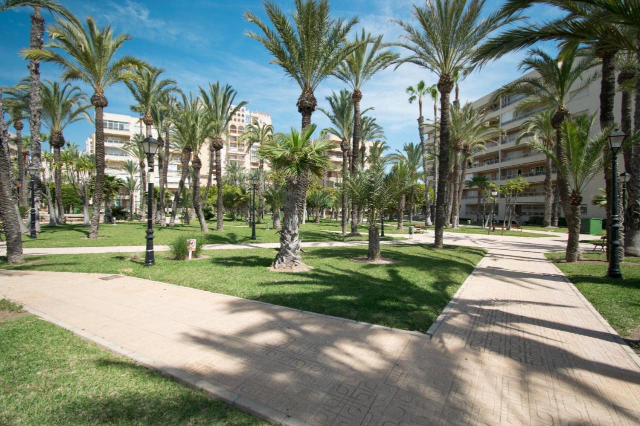 093 - Mil Palmeras Dream Torrevieja Exterior foto